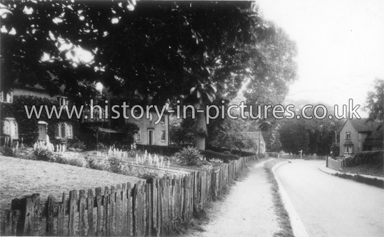 Main Road towards Bell Corner, Danbury, Essex. c.1920's